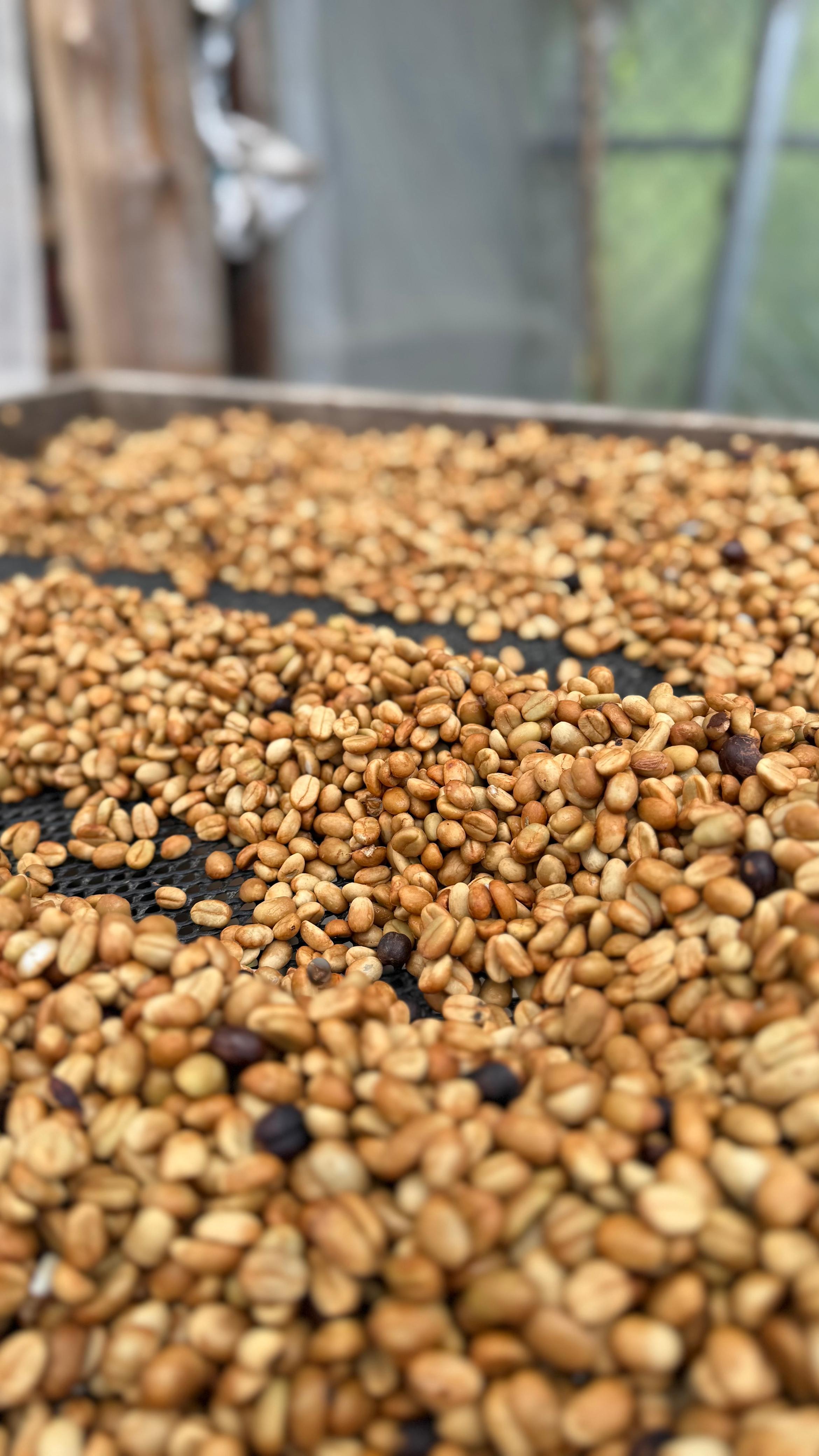 Detalle vertical de proceso en Cinco Calles 12