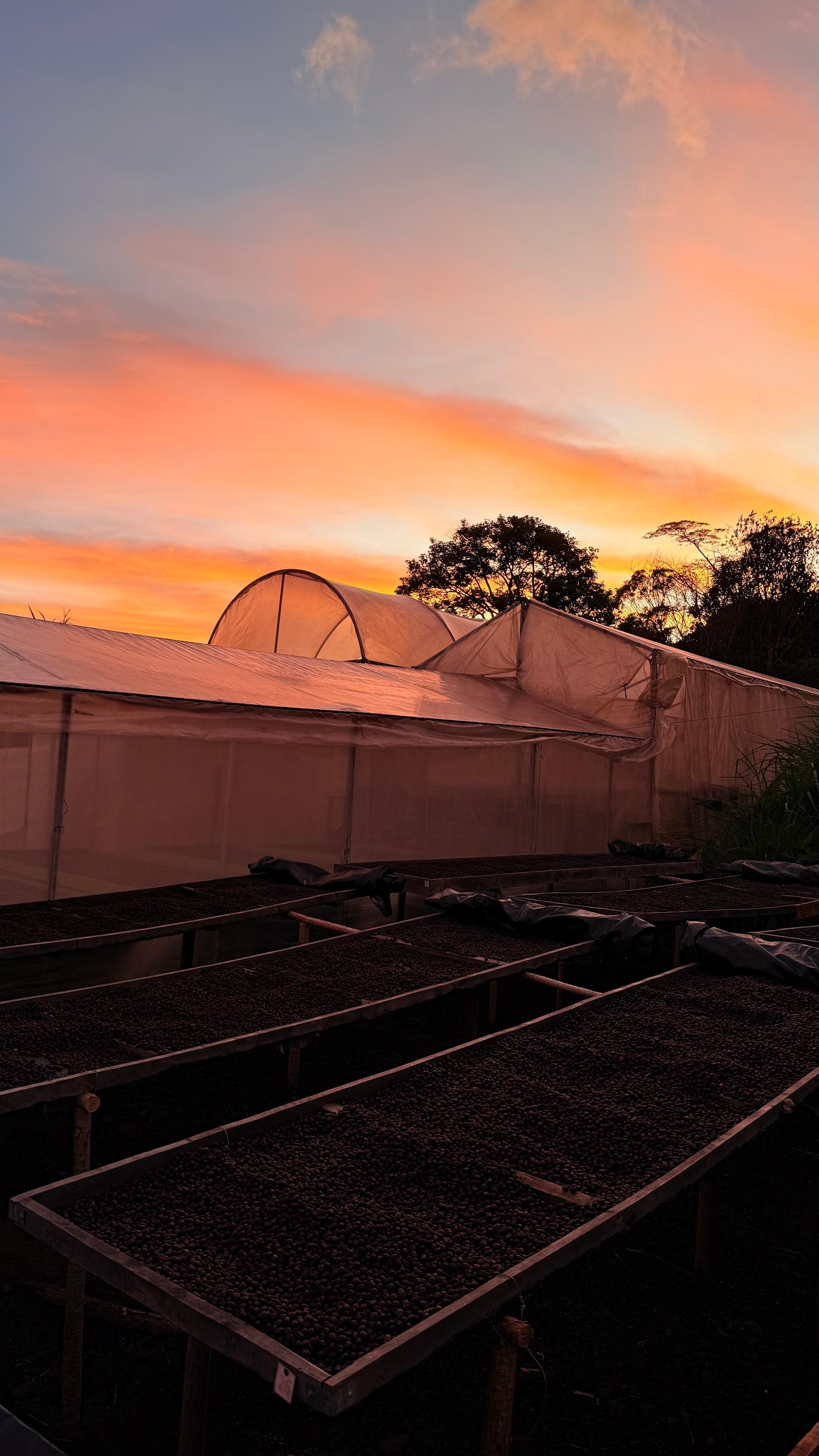 Detalle vertical de proceso en Cinco Calles 13