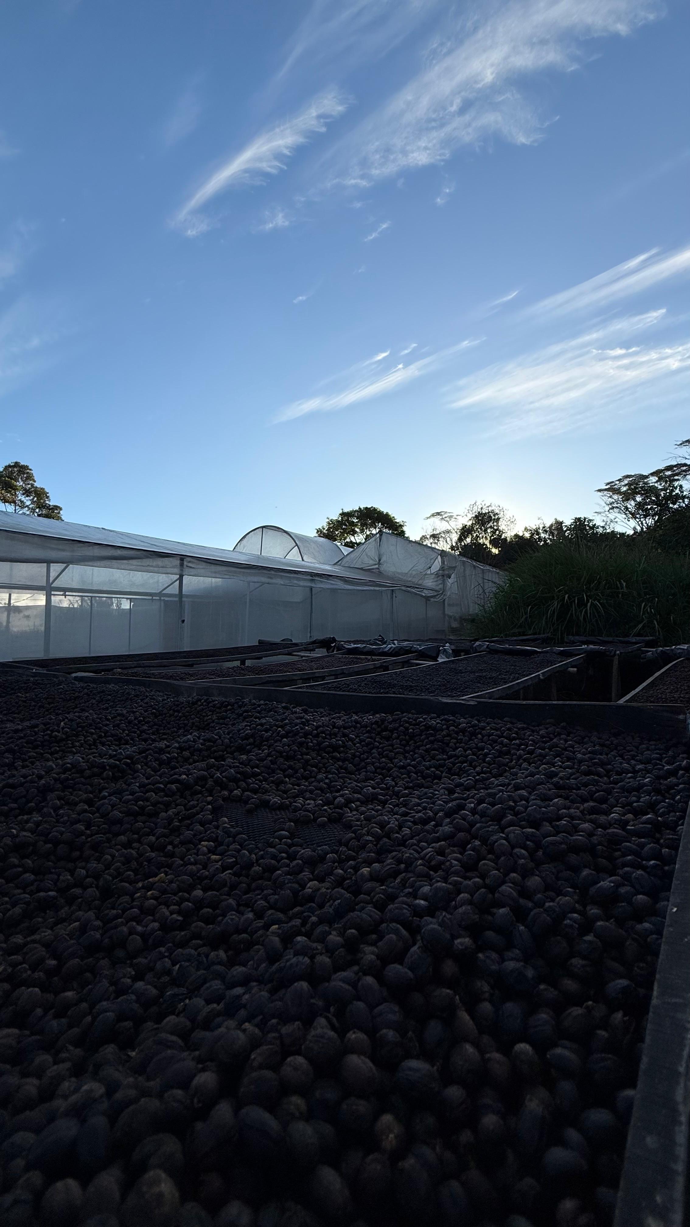 Detalle vertical de proceso en Cinco Calles 14