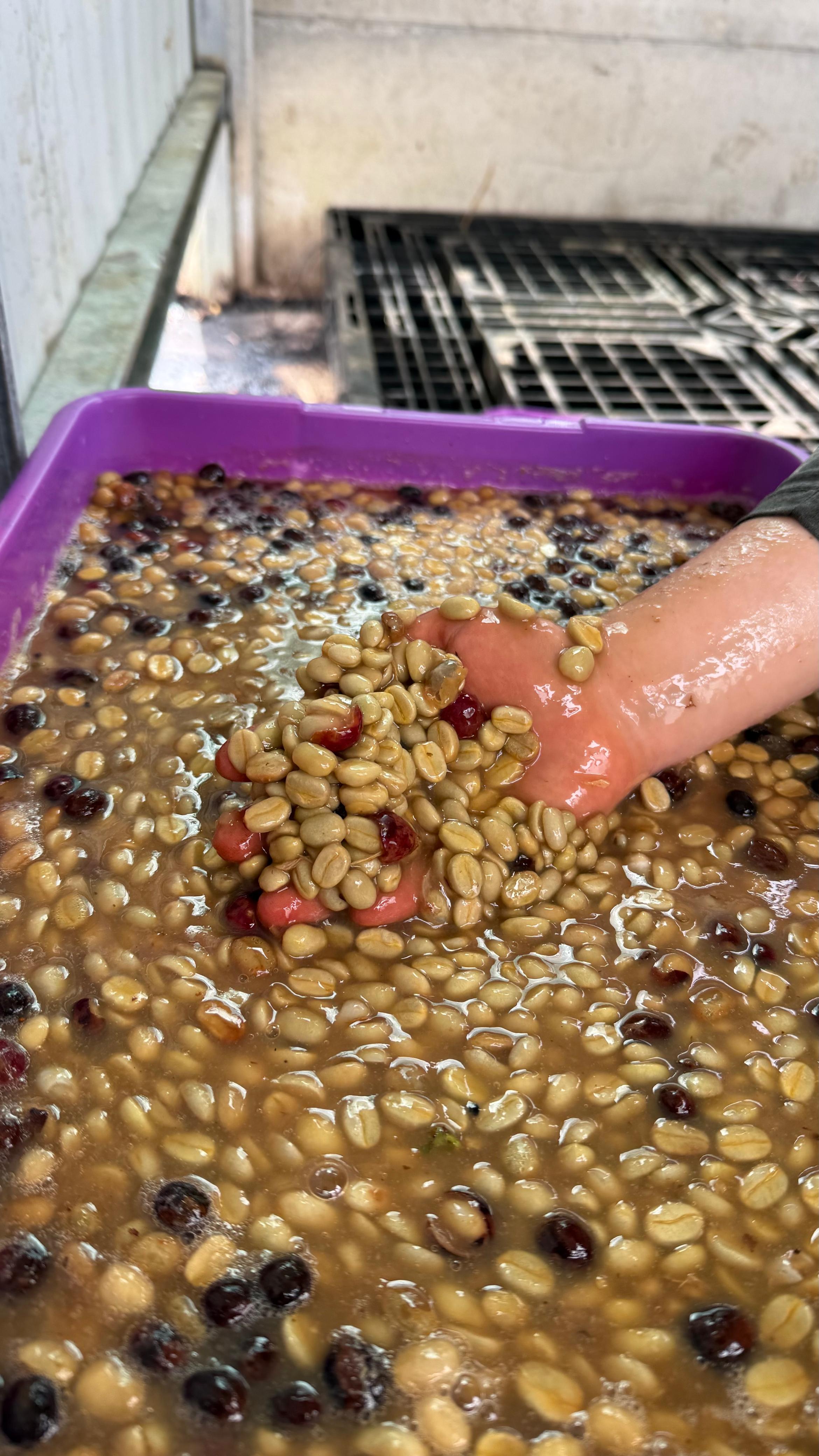 Detalle vertical de proceso en Cinco Calles 16