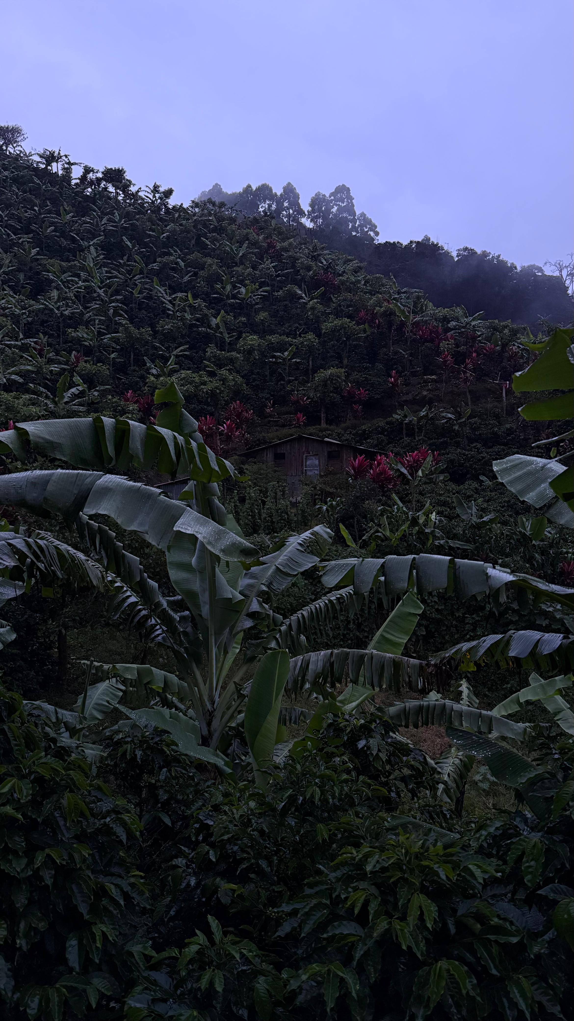 Detalle vertical de proceso en Cinco Calles 03