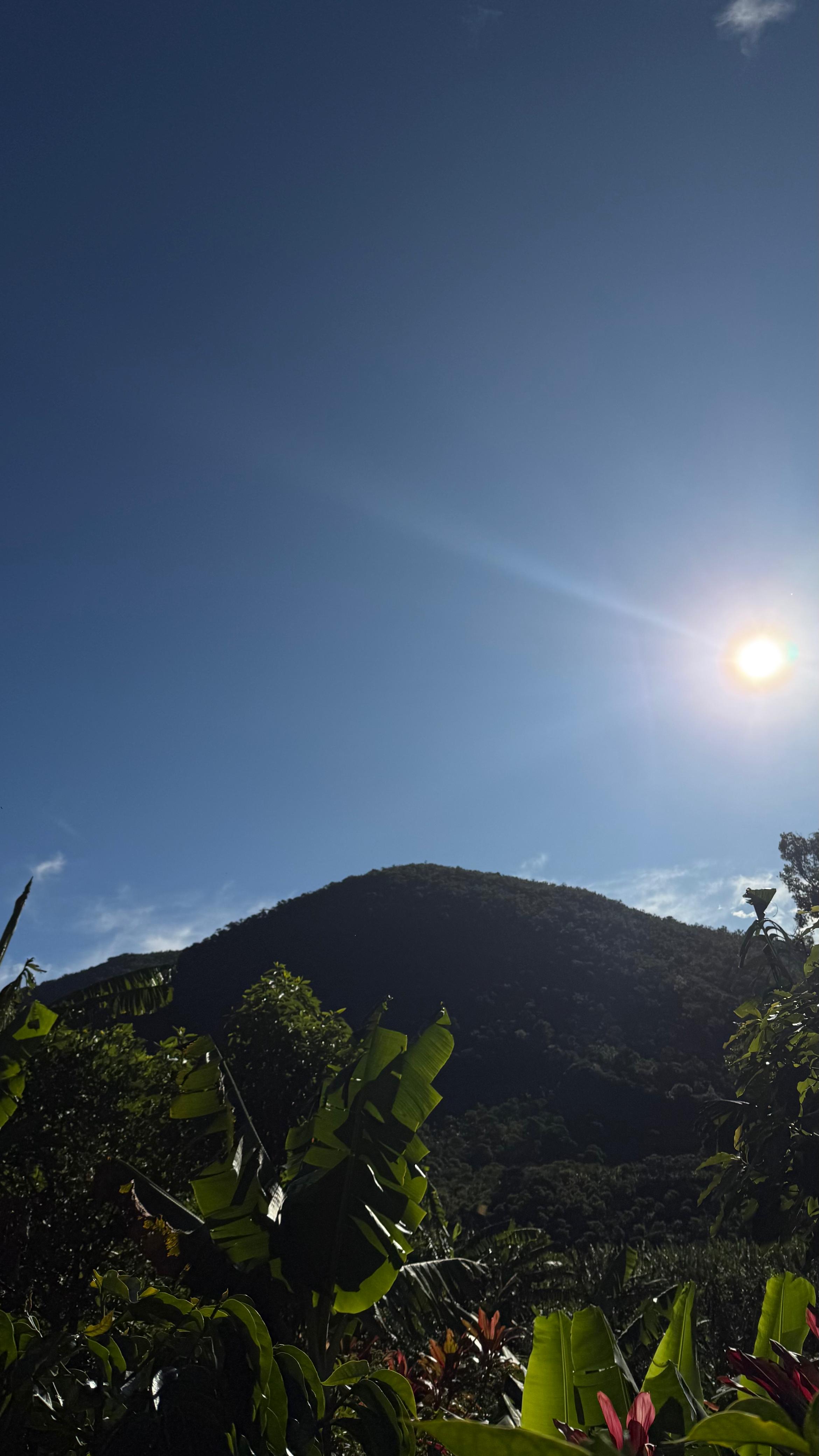 Detalle vertical de proceso en Cinco Calles 08